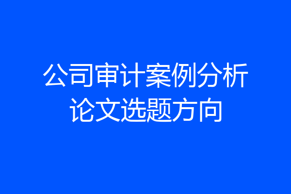 公司审计案例分析论文选题方向