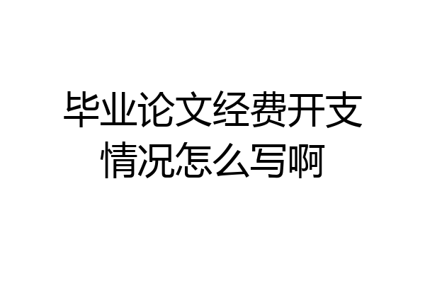 毕业论文经费开支情况怎么写啊