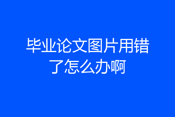 毕业论文图片用错了怎么办啊
