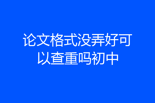 论文格式没弄好可以查重吗初中