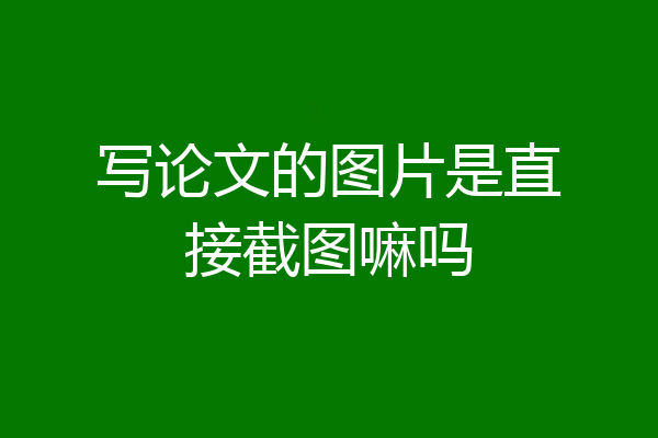 写论文的图片是直接截图嘛吗