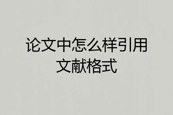 论文中怎么样引用文献格式
