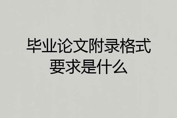 毕业论文附录格式要求是什么