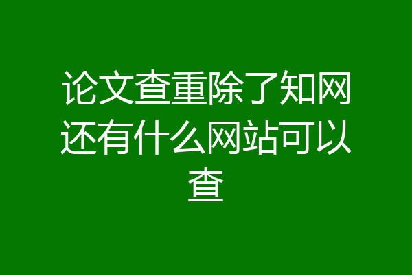 论文查重除了知网还有什么网站可以查