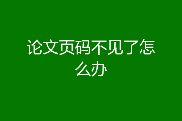 论文页码不见了怎么办