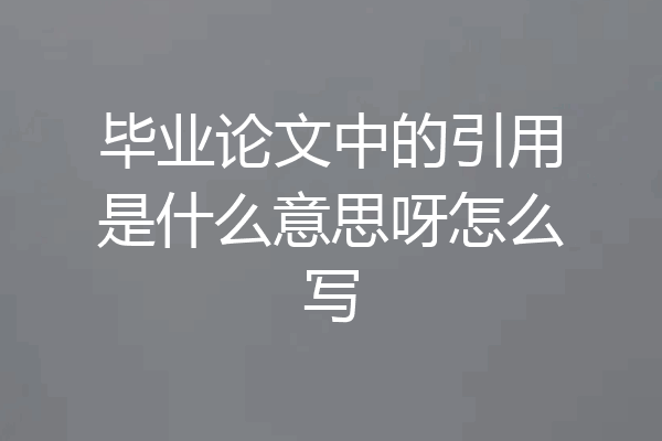 毕业论文中的引用是什么意思呀怎么写