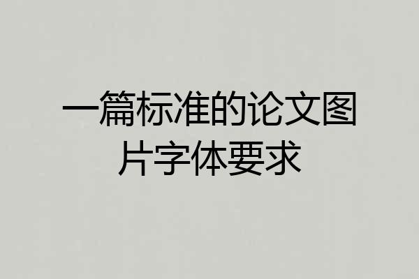 一篇标准的论文图片字体要求