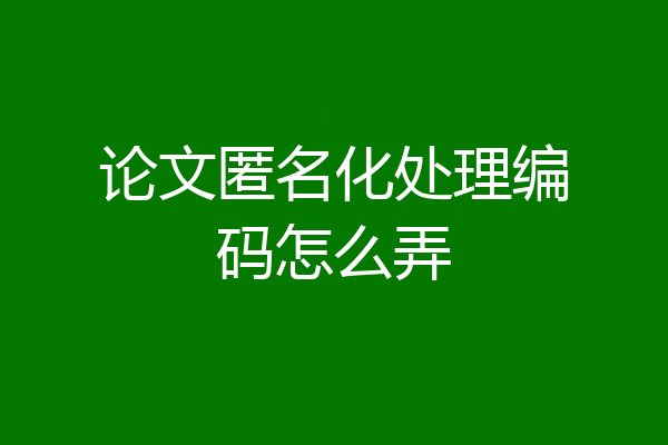 论文匿名化处理编码怎么弄