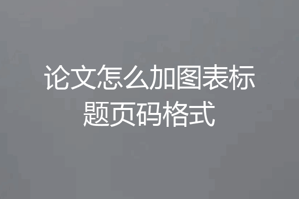 论文怎么加图表标题页码格式