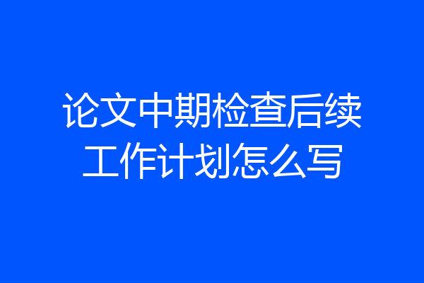 论文中期检查后续工作计划怎么写