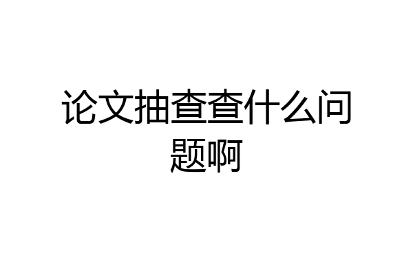论文抽查查什么问题啊