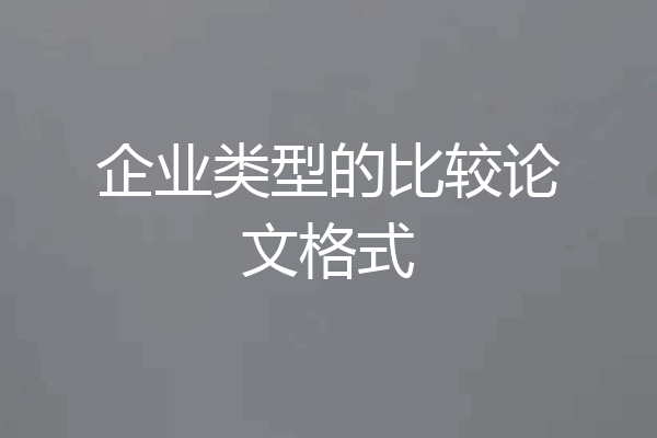 企业类型的比较论文格式