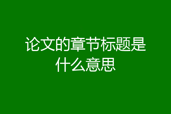 论文的章节标题是什么意思