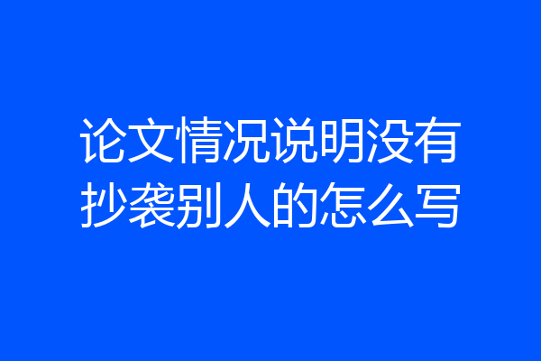 论文情况说明没有抄袭别人的怎么写