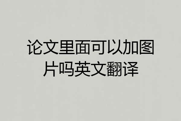 论文里面可以加图片吗英文翻译