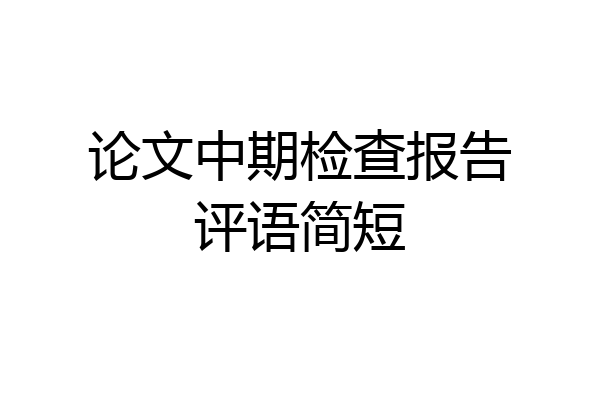 论文中期检查报告评语简短