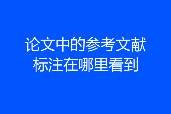 论文中的参考文献标注在哪里看到