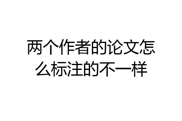 两个作者的论文怎么标注的不一样