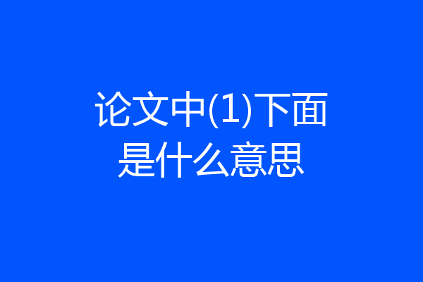 论文中(1)下面是什么意思