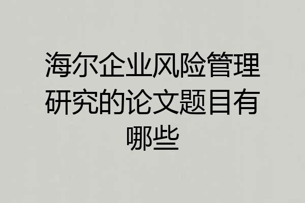 海尔企业风险管理研究的论文题目有哪些