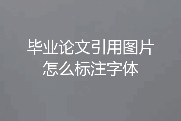 毕业论文引用图片怎么标注字体