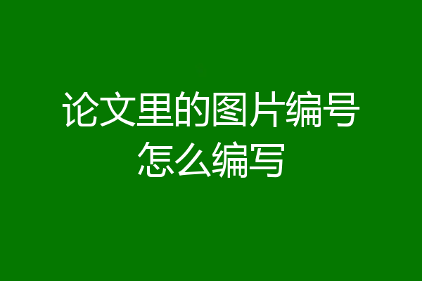 论文里的图片编号怎么编写
