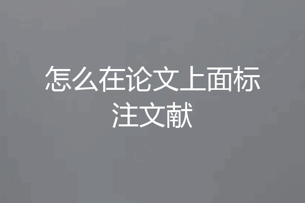 怎么在论文上面标注文献
