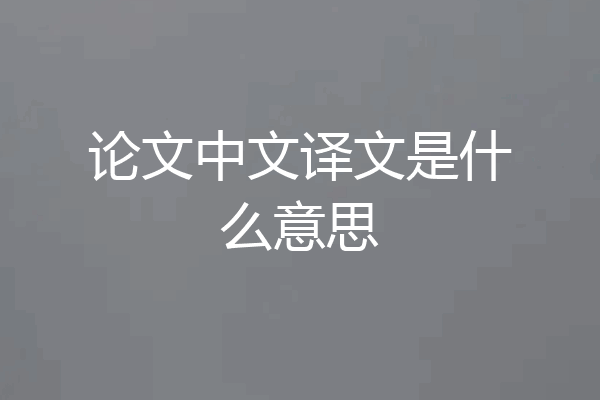 论文中文译文是什么意思