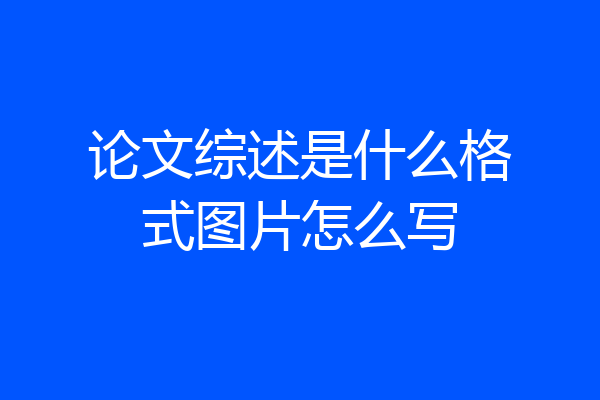 论文综述是什么格式图片怎么写