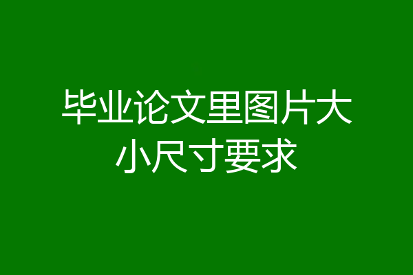 毕业论文里图片大小尺寸要求