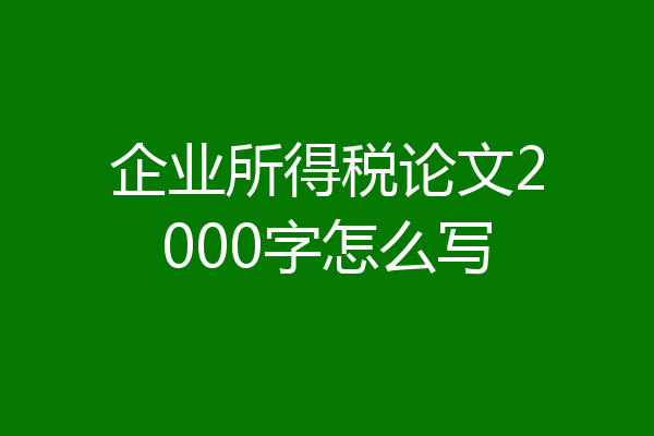 企业所得税论文2000字怎么写