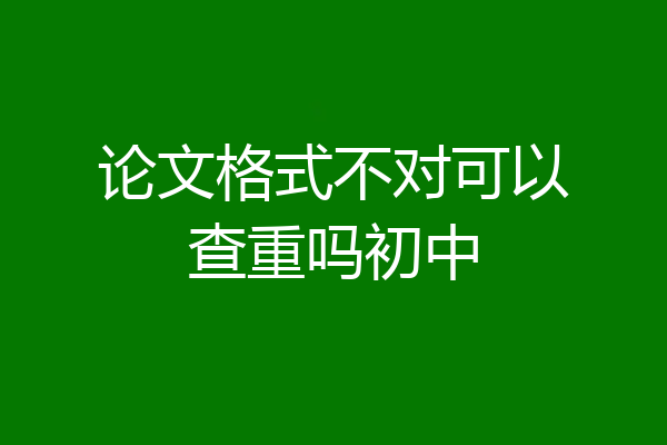 论文格式不对可以查重吗初中