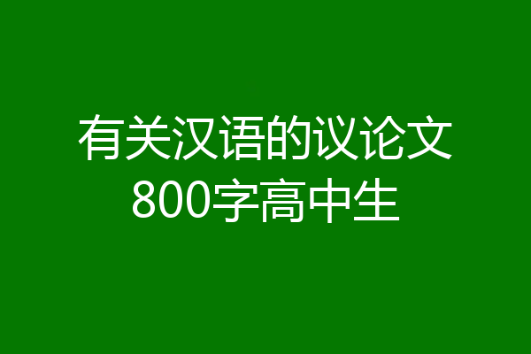 有关汉语的议论文800字高中生
