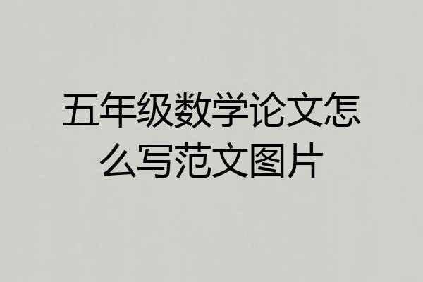 五年级数学论文怎么写范文图片