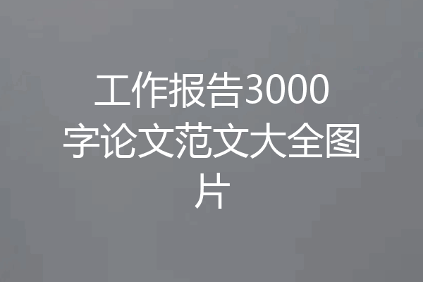 工作报告3000字论文范文大全图片