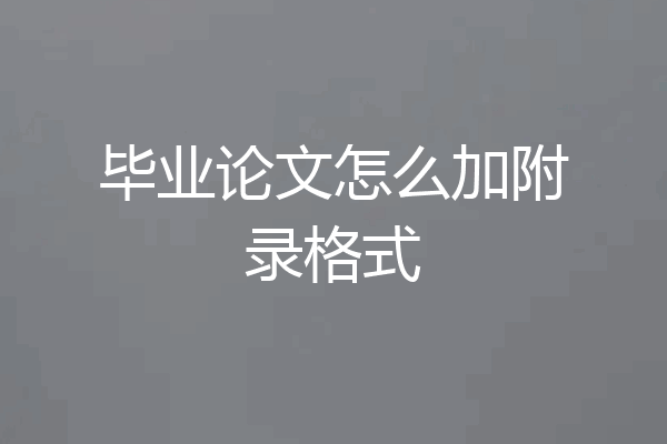毕业论文怎么加附录格式