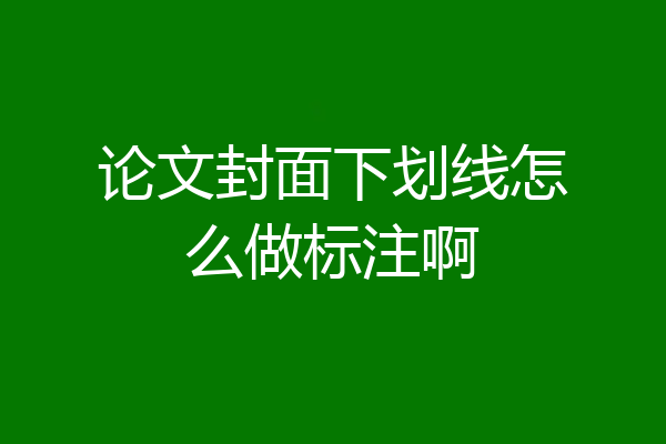 论文封面下划线怎么做标注啊