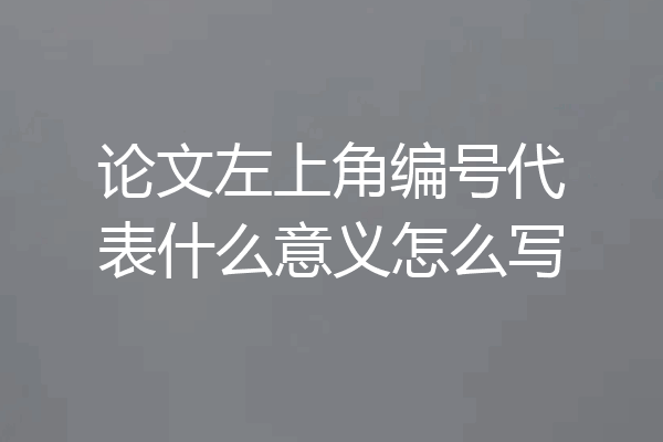 论文左上角编号代表什么意义怎么写