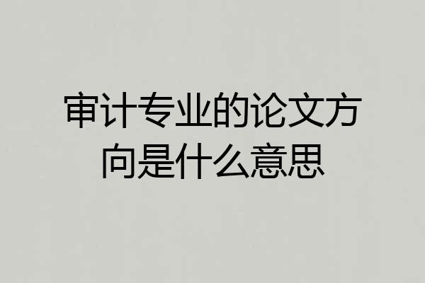 审计专业的论文方向是什么意思