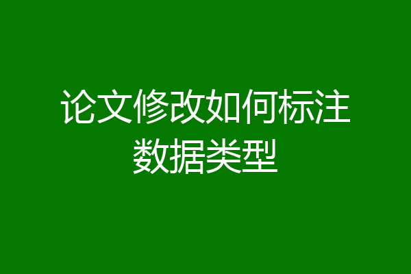 论文修改如何标注数据类型