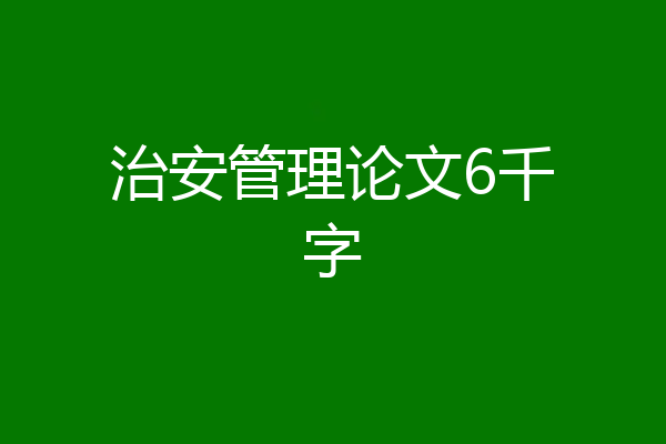 治安管理论文6千字