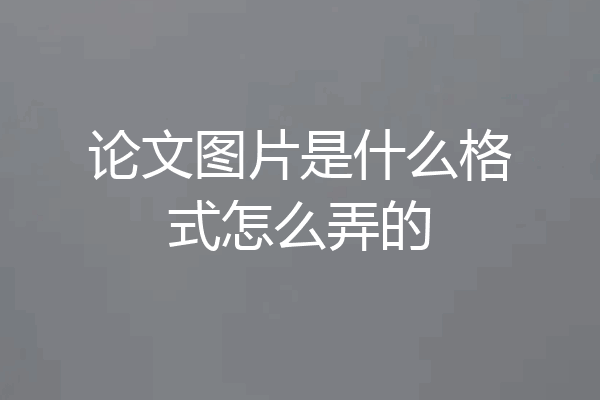 论文图片是什么格式怎么弄的