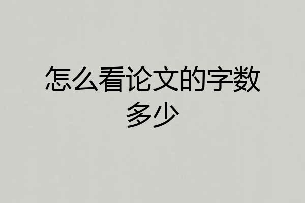怎么看论文的字数多少