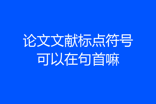 论文文献标点符号可以在句首嘛
