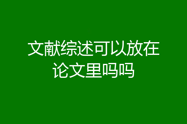 文献综述可以放在论文里吗吗
