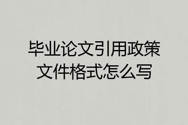 毕业论文引用政策文件格式怎么写