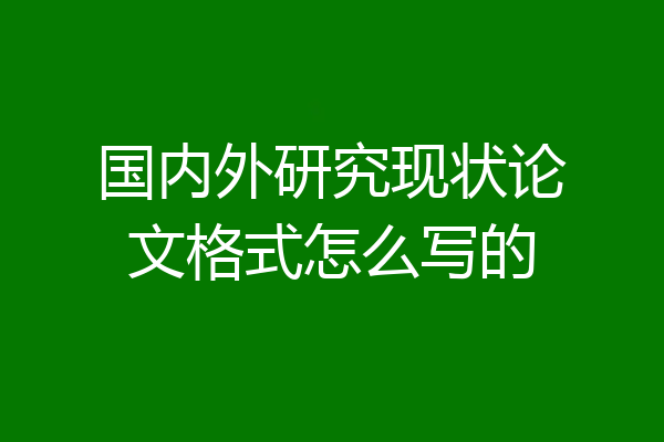国内外研究现状论文格式怎么写的