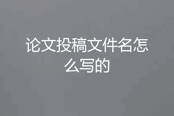 论文投稿文件名怎么写的
