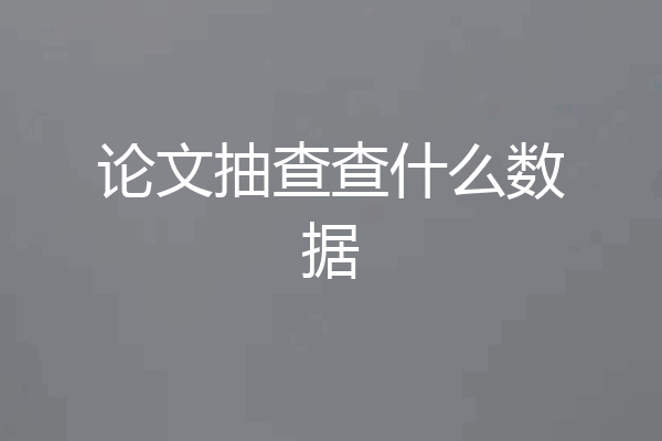 论文抽查查什么数据