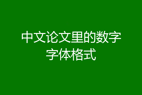 中文论文里的数字字体格式